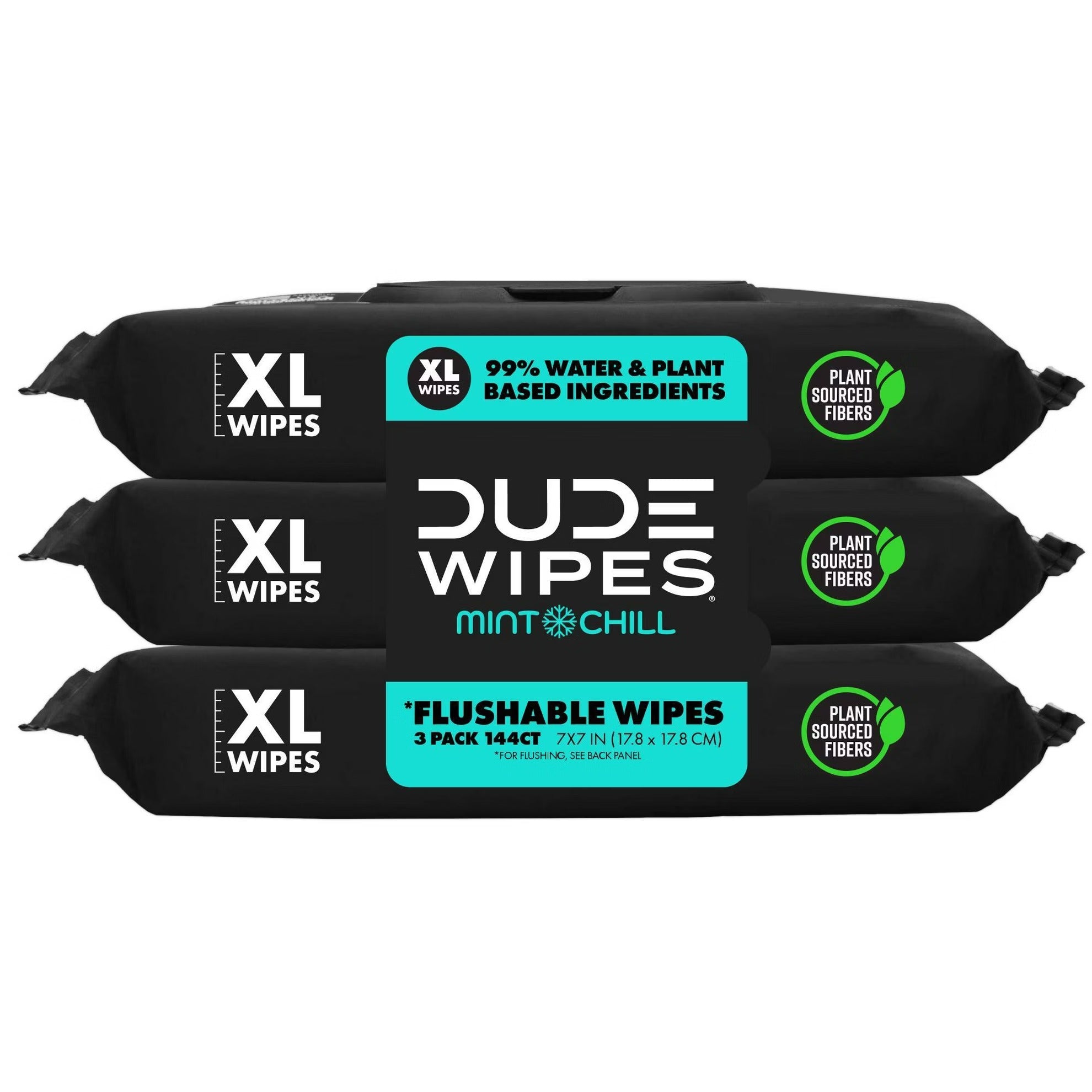 Dude Wipes Mint Chill Flushable Wipes - (3x48)ct/4pk