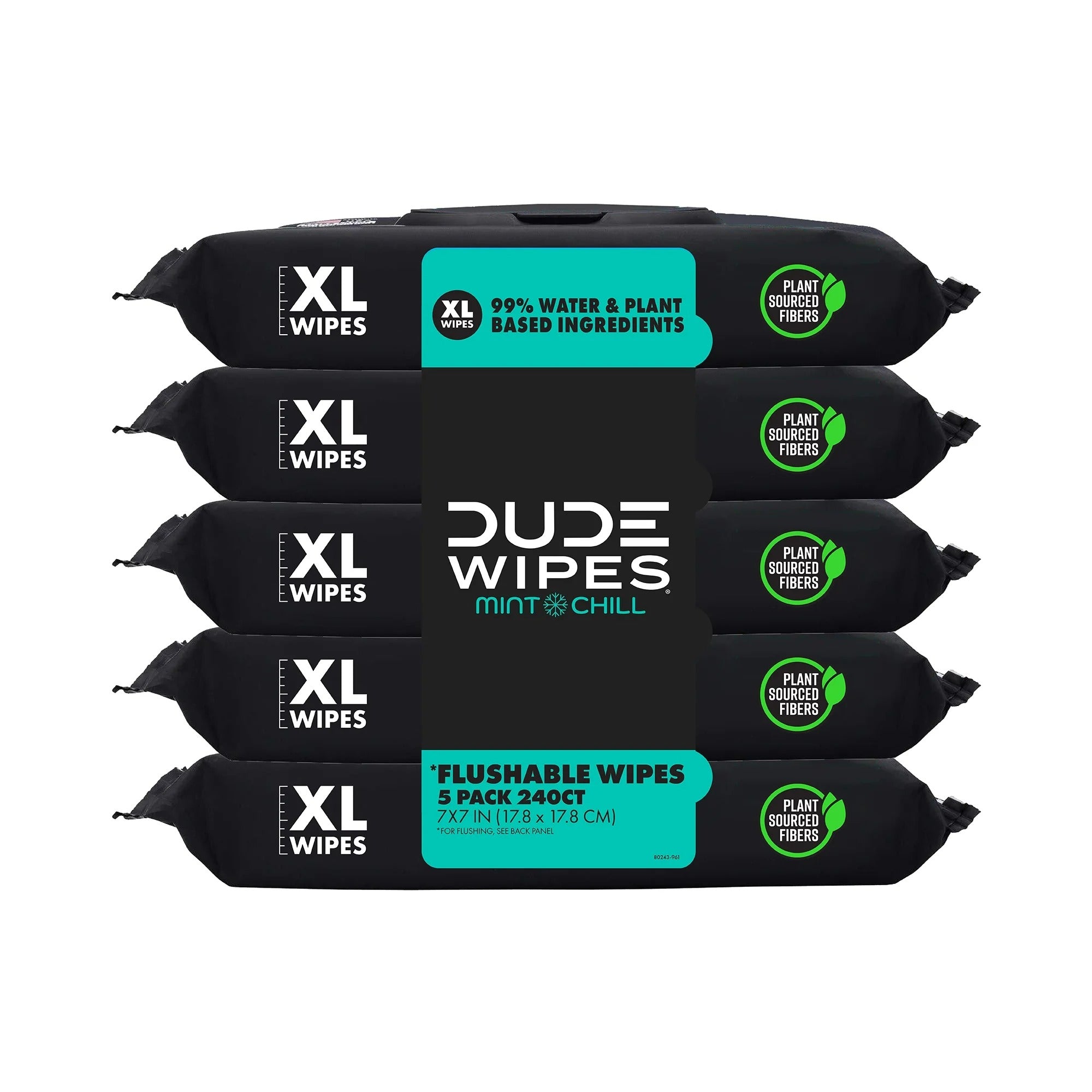 Dude Wipes Mint Chill Flushable Wipes - (5x48)ct/4pk