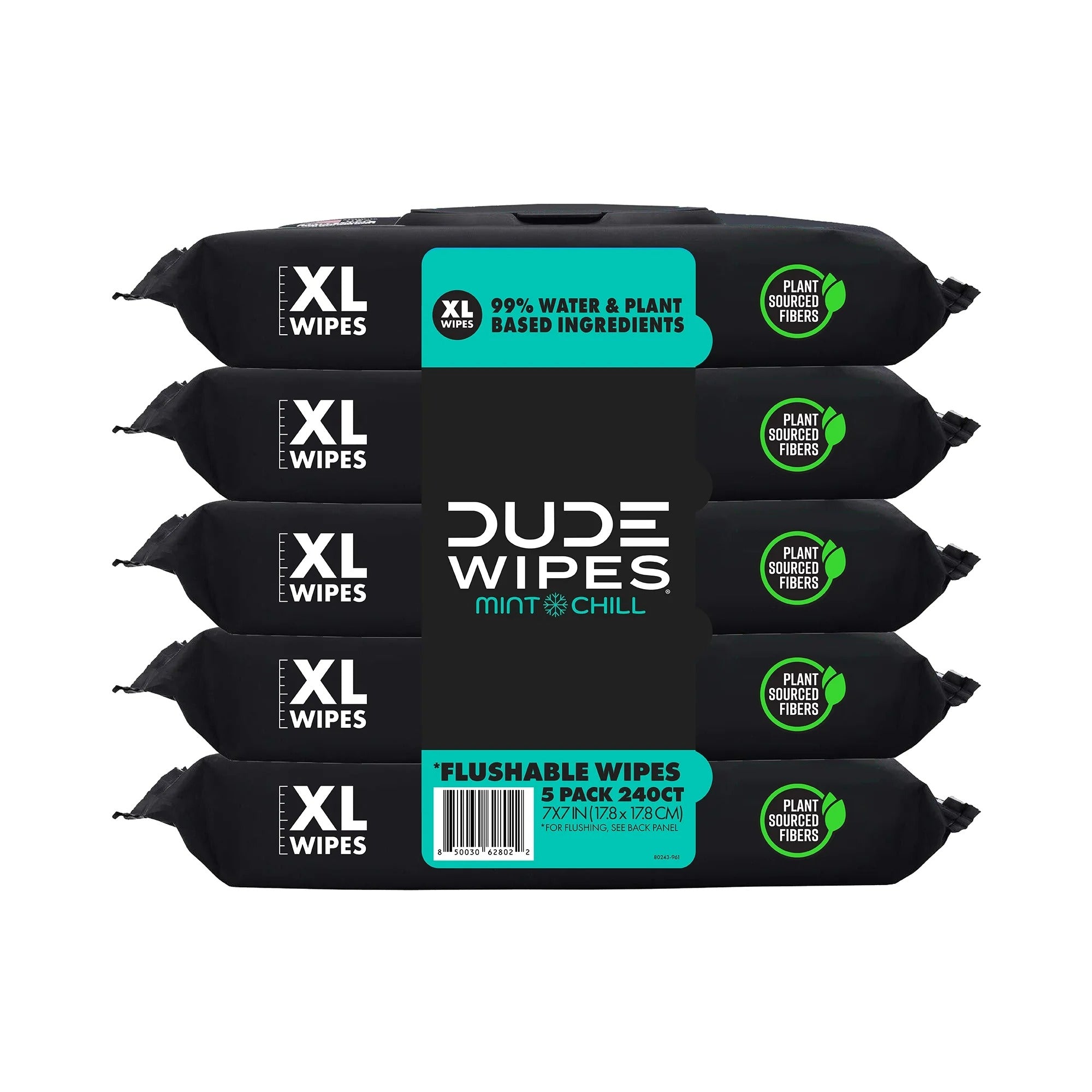 Dude Wipes Mint Chill Flushable Wipes - (5x48)ct/4pk