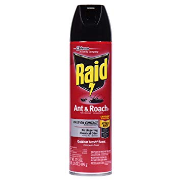 RAID Ant & Roach AERO Outdoor Fresh Twin Pack - 17.5oz/12pk