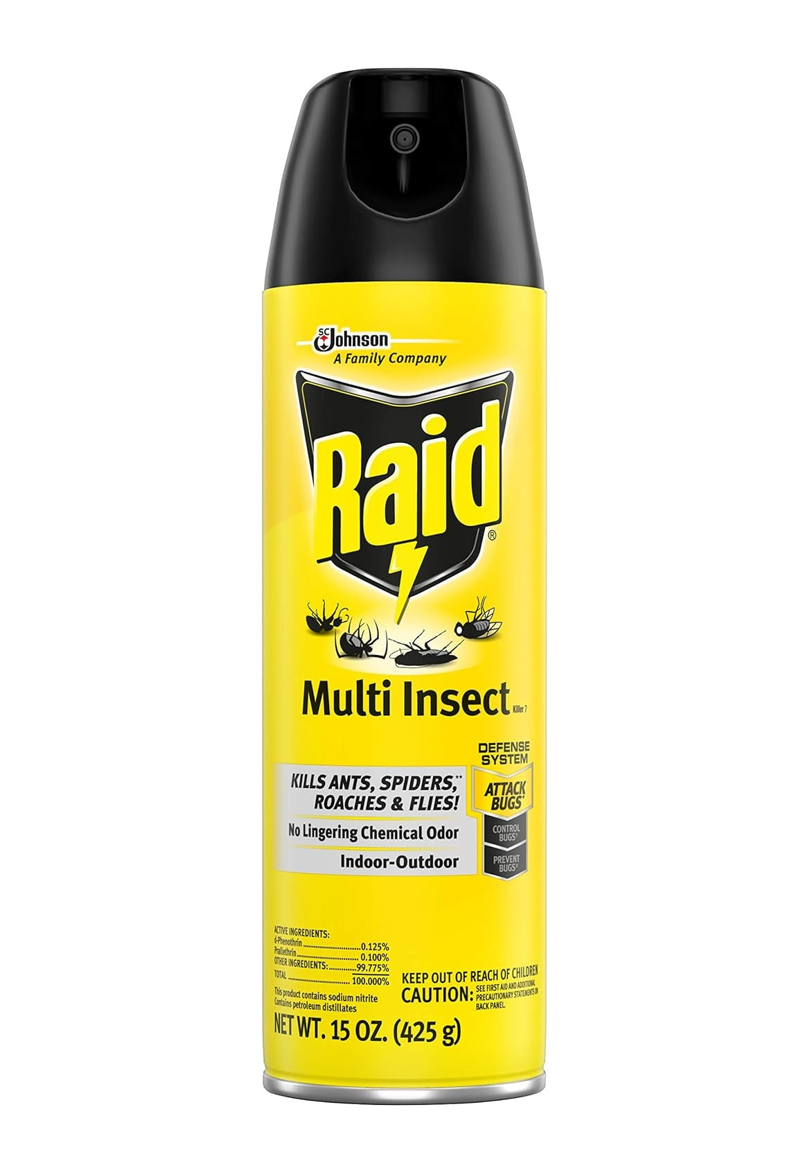 Raid Multi Insect Killer - 15oz/12pk