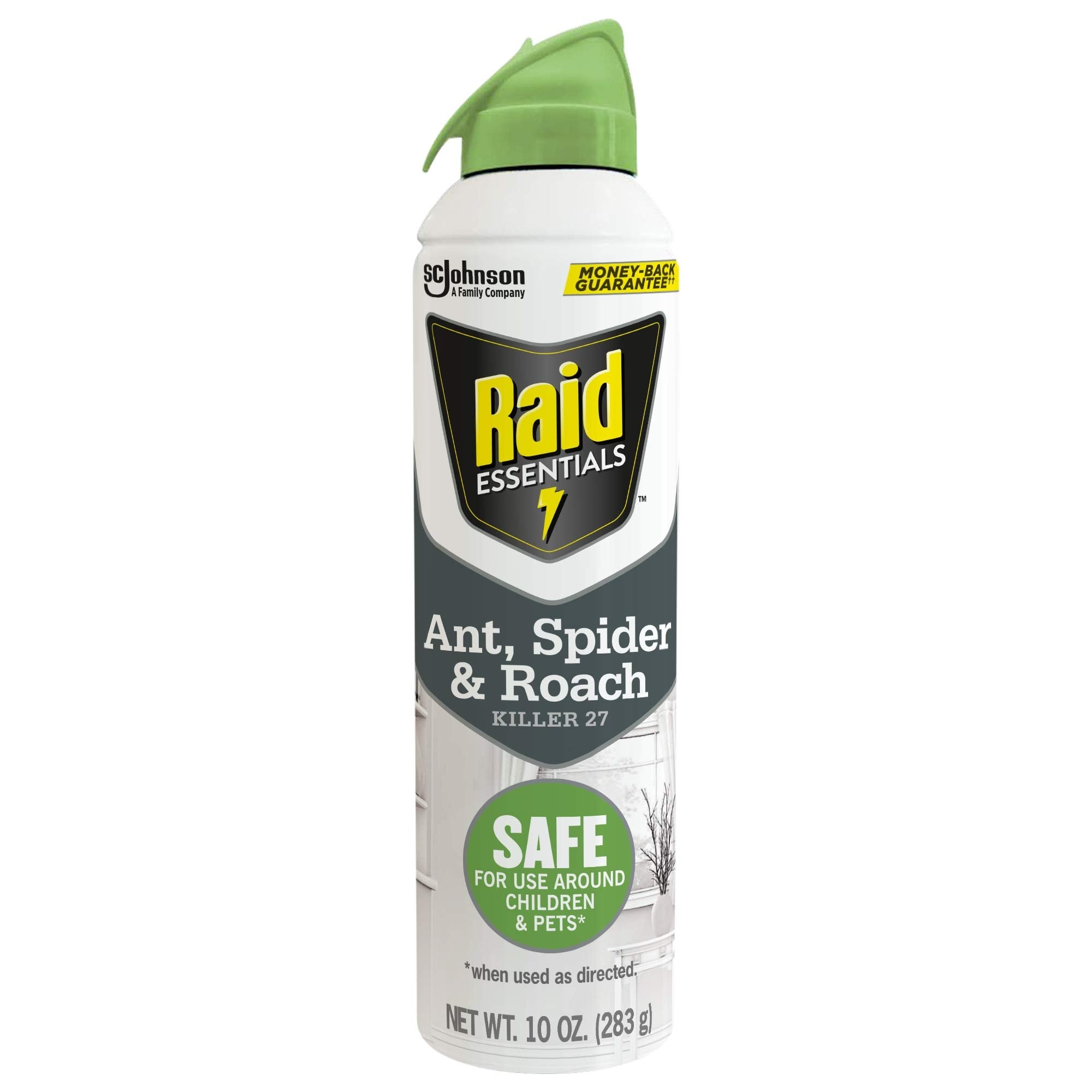 Raid Essentials Ant Spider & Roach Killer Aerosol Spray - 10oz/6pk