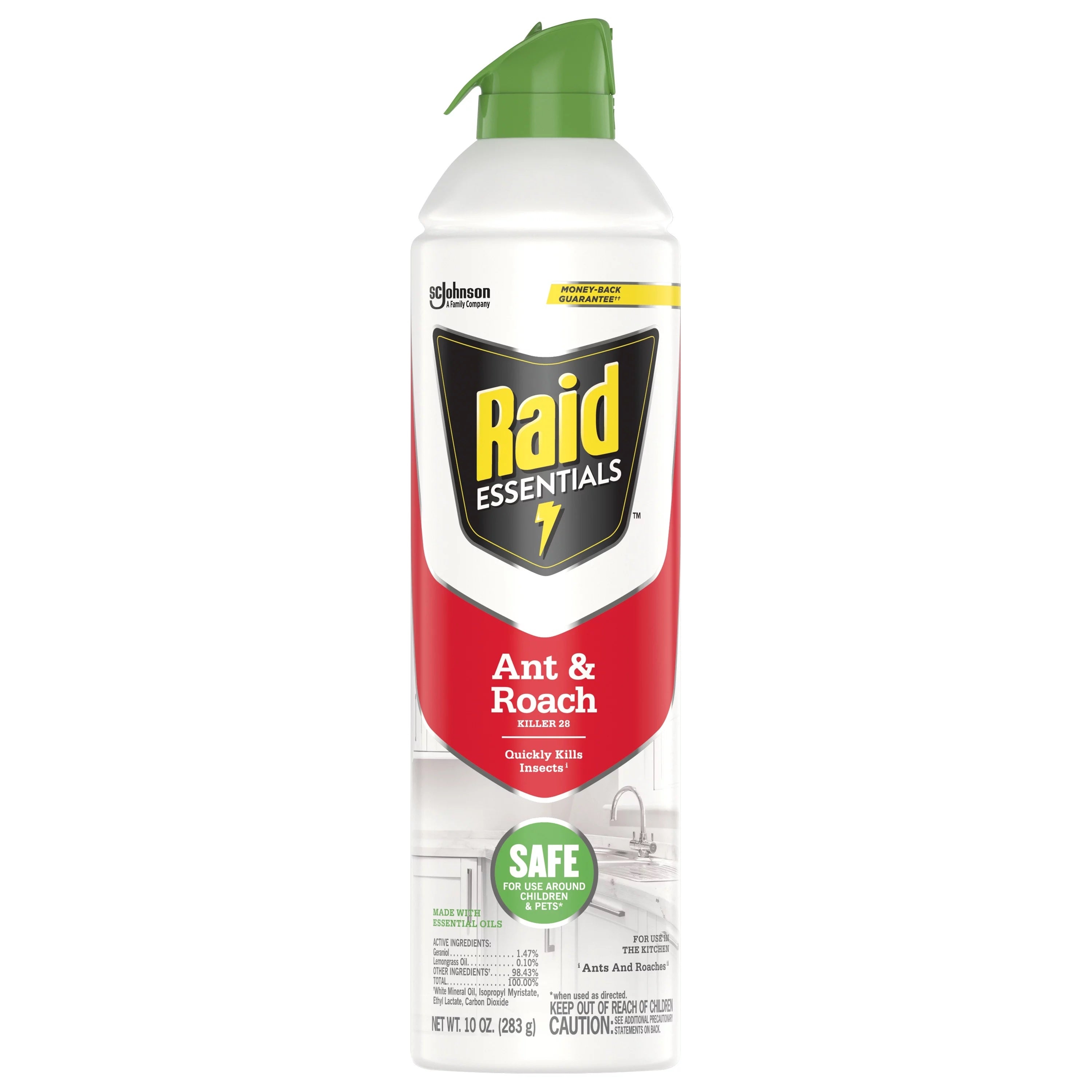 Raid Essentials Ant & Roach Killer Aerosol Spray - 10oz/6pk