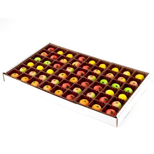 Bergen Marzipan Assorted Fruit Shapes Box Tray Total 25oz - 54ct/8pk
