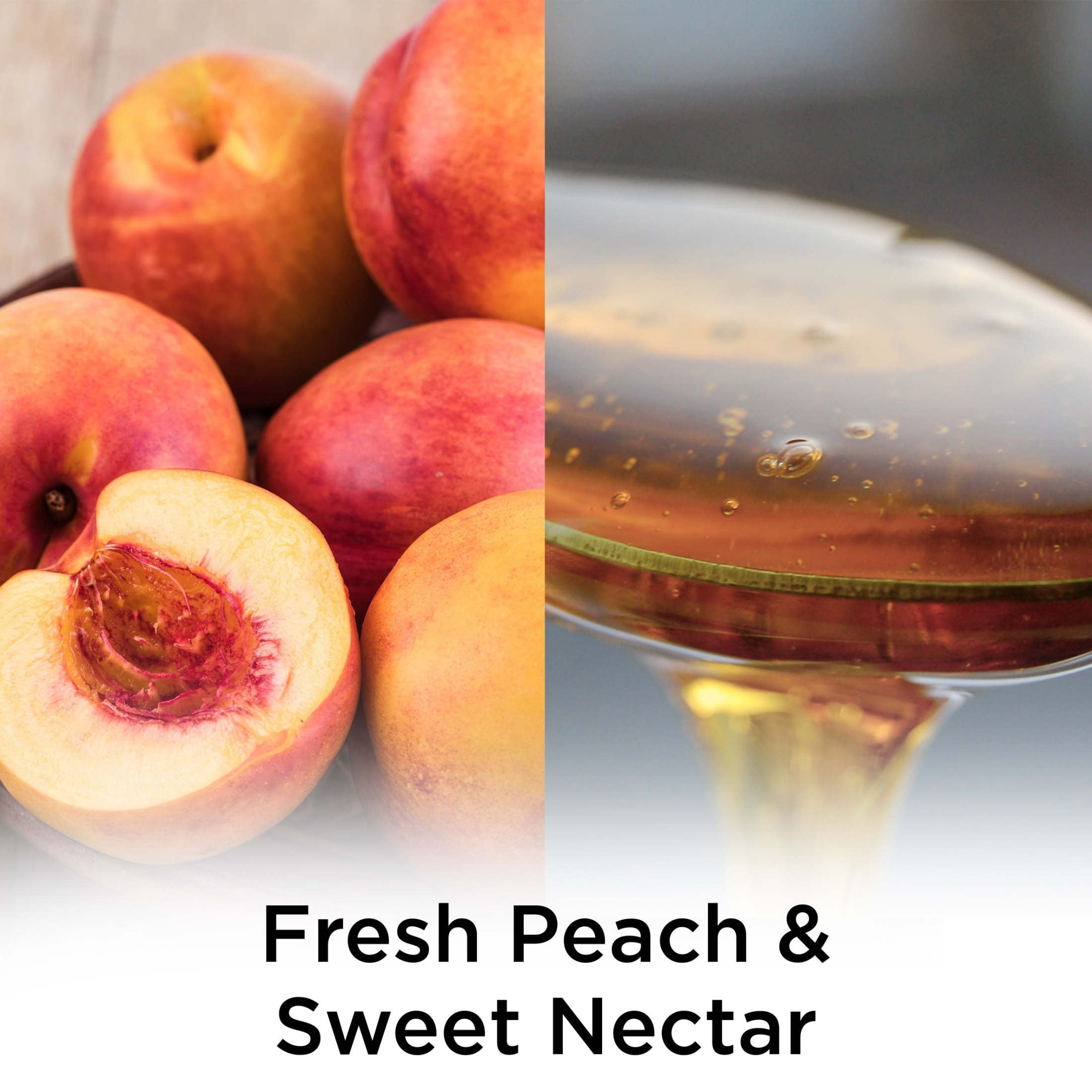 Air Wick Scented Oil - Peach Sweet Nectar - 1ct/16pk