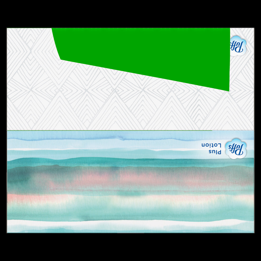 Puffs Plus Lotion Facial Tissue Family Size Boxes - (2x124)ct/12pk