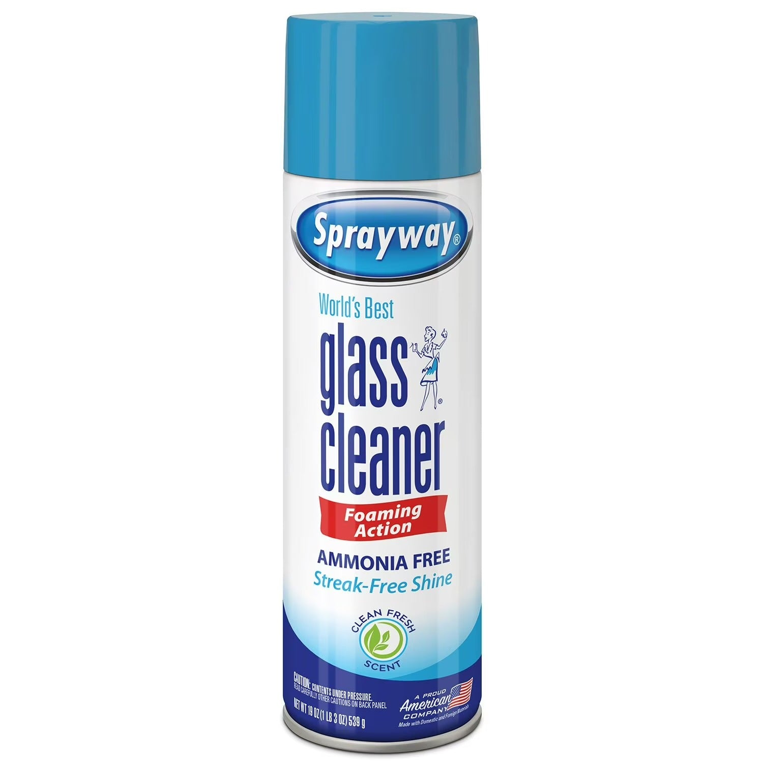 Sprayway Glass Cleaner - 19oz/12pk