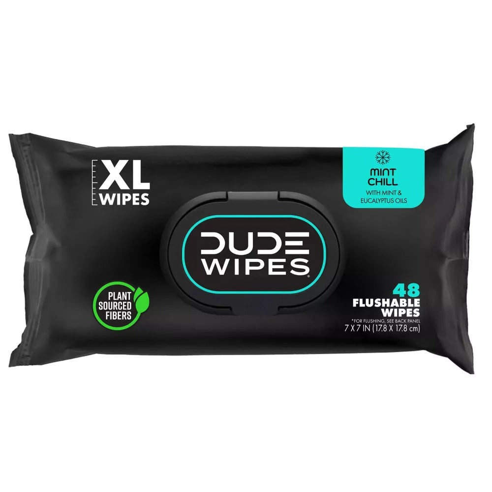 Dude Wipes Mint Chill Flushable Wipes - (3x48)ct/4pk