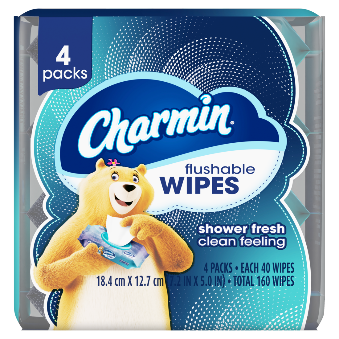 Charmin Wet Wipes Flushable 4 Packs 40 Wipes Per Pack 160 Total Wipes - 160ct/6pk
