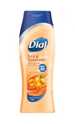 Dial Silk & Seaberry Moisturizing Body Wash - 16oz/6pk