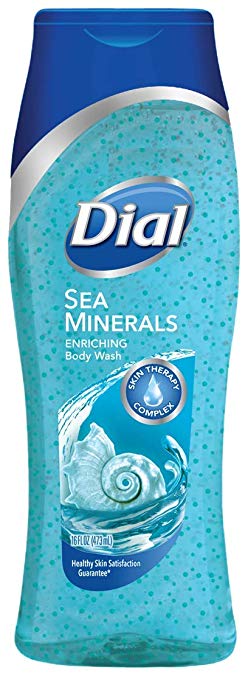 Dial Sea Minerals Body Wash - 16oz/6pk