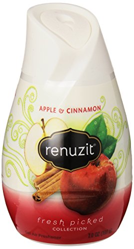 Renuzit Apple Cinnamon - 7.0oz/12pk