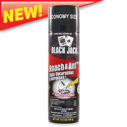 SG Black Jack Roach&Ant Killer Spray ORIGINAL-17.5oz/12pk
