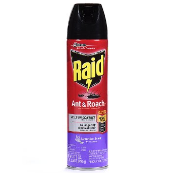 Raid Ant & Roach Aerosol Lavender - 17.5oz/12pk