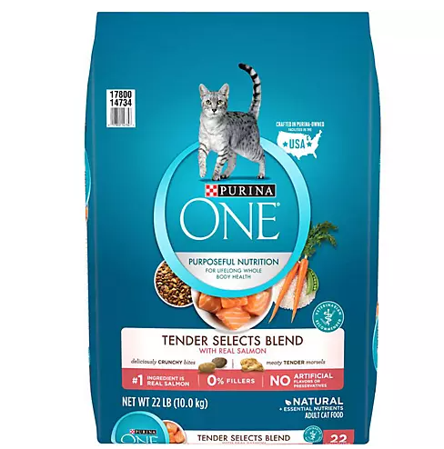 Purina ONE Tender Selects Blend With Real Salmon Natural Dry Cat Food - 22 lbs/1pk