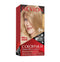 Revlon Colorsilk Hair Color 70 Medium Ash Blonde USA - 1ct/3PK