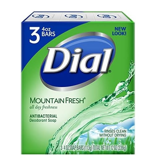 Dial Bar Mountain Fresh 3-Bar - 4.0oz/12pk
